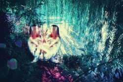 Purity /  Untitled